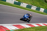 cadwell-no-limits-trackday;cadwell-park;cadwell-park-photographs;cadwell-trackday-photographs;enduro-digital-images;event-digital-images;eventdigitalimages;no-limits-trackdays;peter-wileman-photography;racing-digital-images;trackday-digital-images;trackday-photos